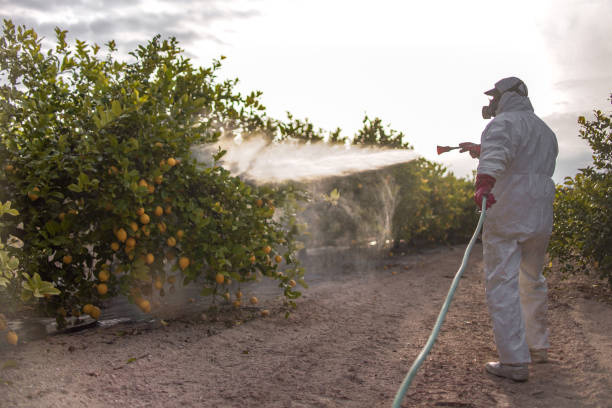 Pest Prevention Services in Springdale, SC
