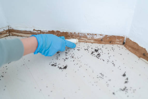 Wildlife Control Services in Springdale, SC